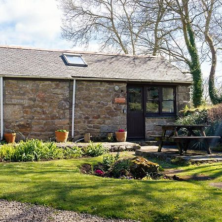 Cosy Cottage In The Beautiful Lamorna Valley - Walk To The Pub & Sea Paul Buitenkant foto